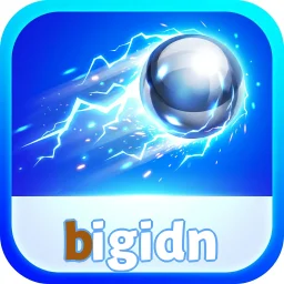 bigidn
